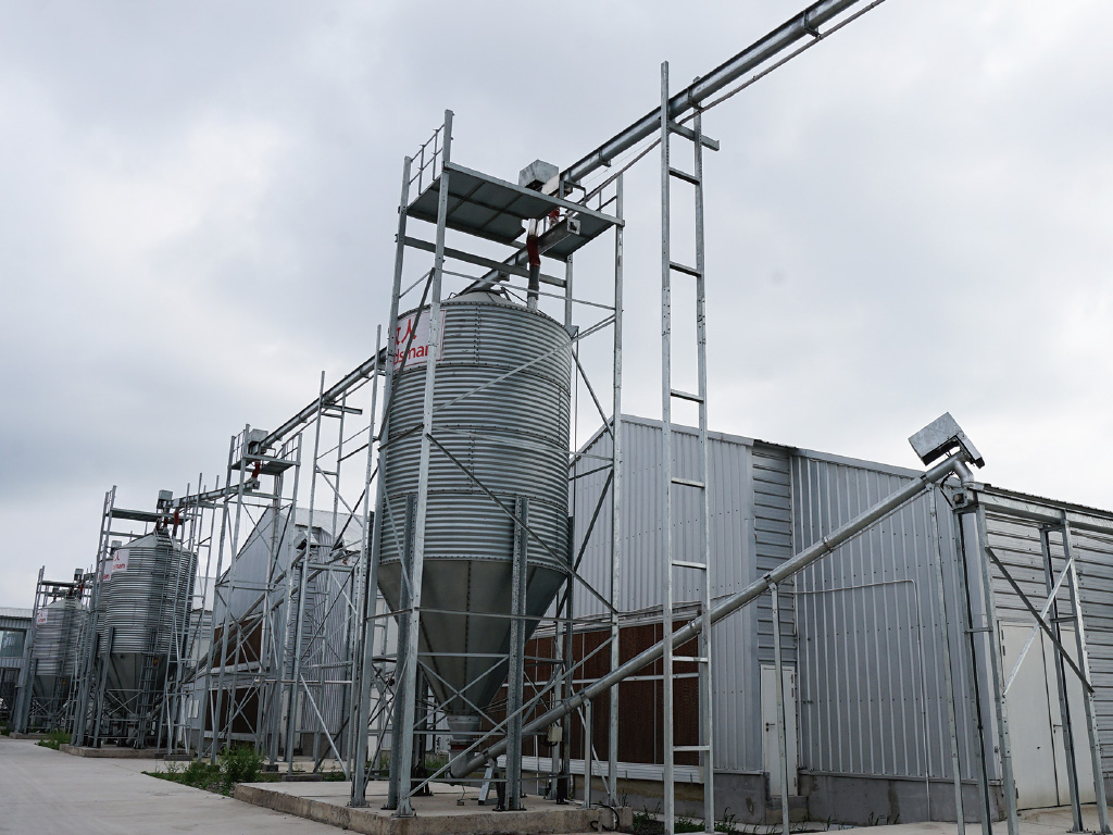 Línea de alimentación principal