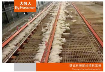 鏈?zhǔn)搅暇€同步喂料系統(tǒng)